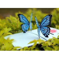 Handmade 3D pop up card blue butterfly birthday wedding anniversary Valentine's day engagement retirement thank you